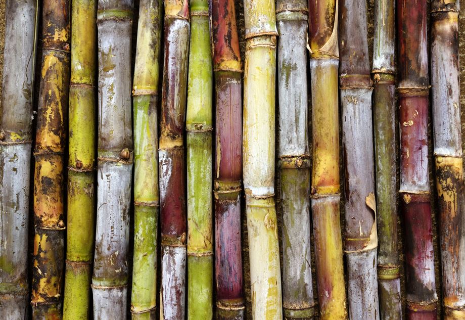 SUGARCANE SPIRITS - THE EXTENDED FAMILY OF RUM